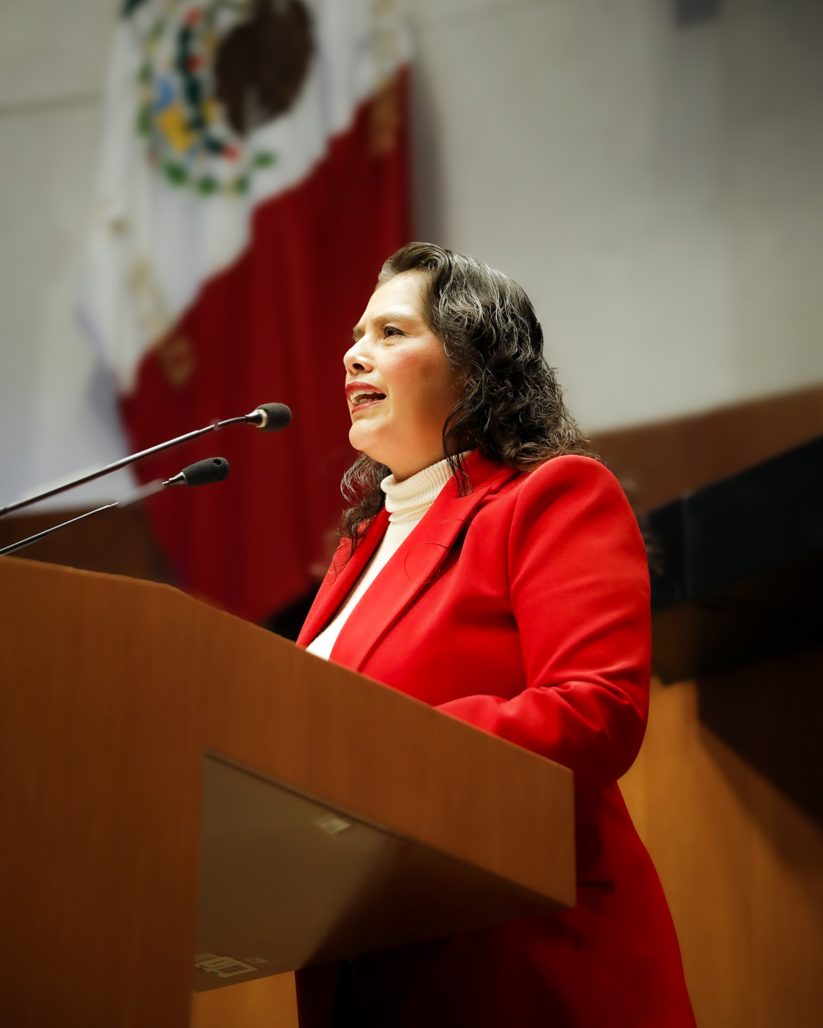 Laura Estrada en tribuna del Senado