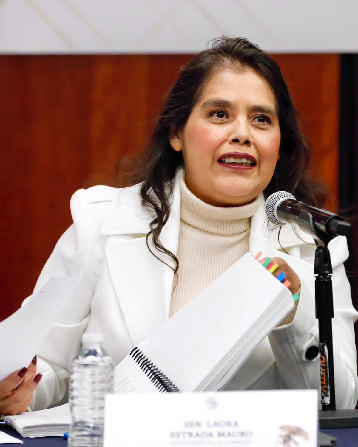 Laura Estrada en comisión del Senado